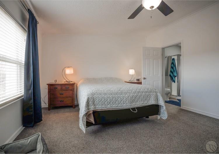3655 Louis Drive Property Photo 7