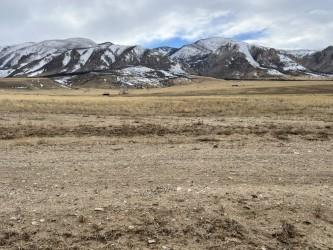 Tract 17 Horny Toad Trail Property Photo