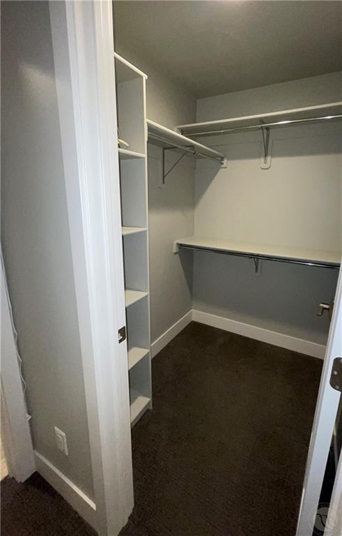 900 Beretta Drive Property Photo 17