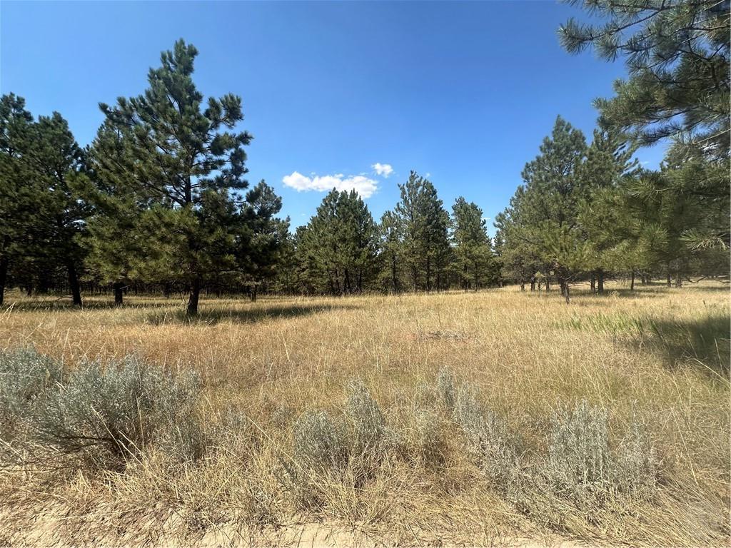 20 Acres Tbd Roland Road Property Photo