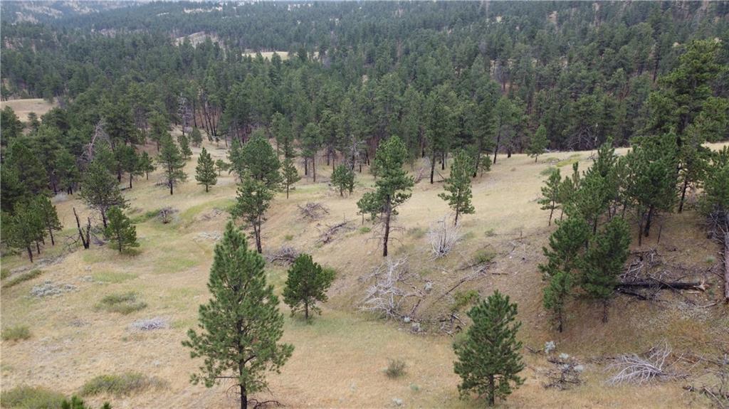 Lot 64 Pine Crest Road Property Photo