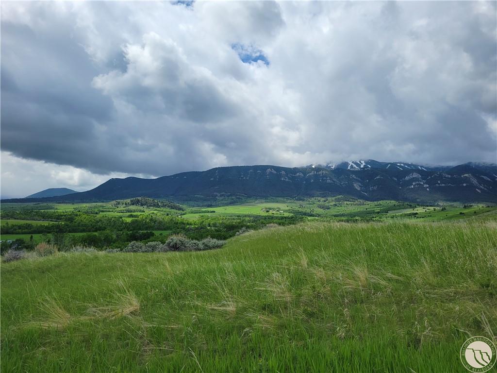 447 Highway 78, aka Lot 2 Whitetail Lane Property Photo 1