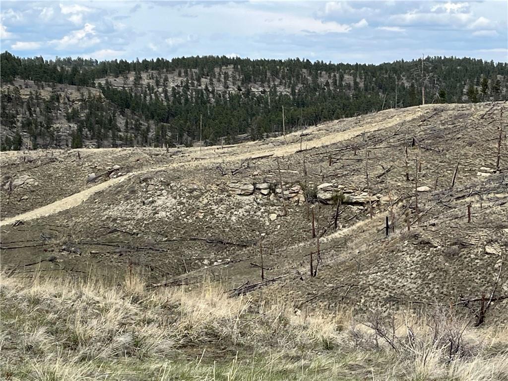 118 Buckskin Property Photo