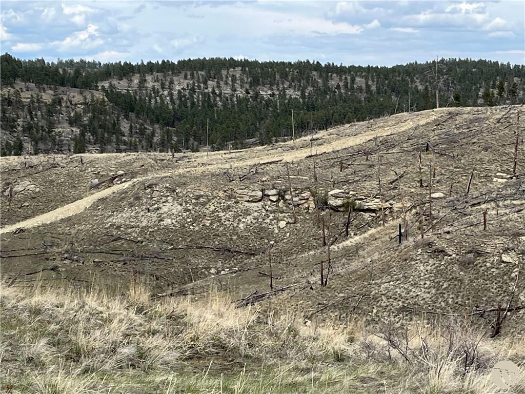 118 Buckskin Property Photo 1