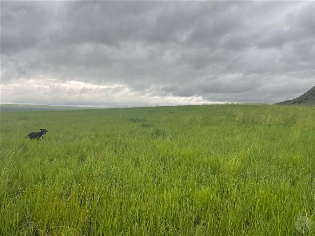 Tbd Bequette Drive Property Photo 5