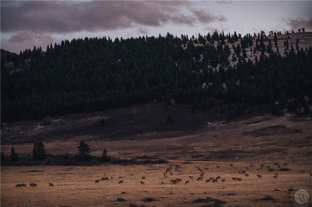 Tbd Meyers Lane Property Photo 4