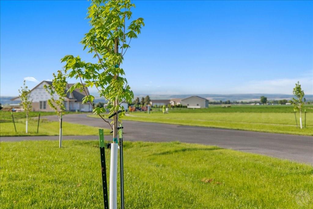 Lot 9 Black Canyon Court Property Photo 2