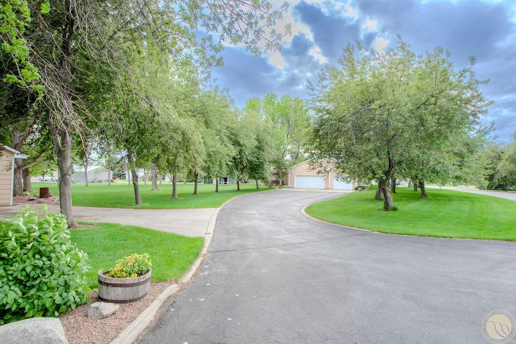 2736 Buffalo Horn DRIVE