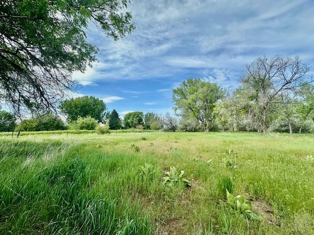 4929 Neibauer Road Property Photo 1