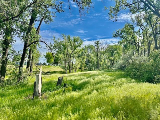 4929 Neibauer Road Property Photo 3