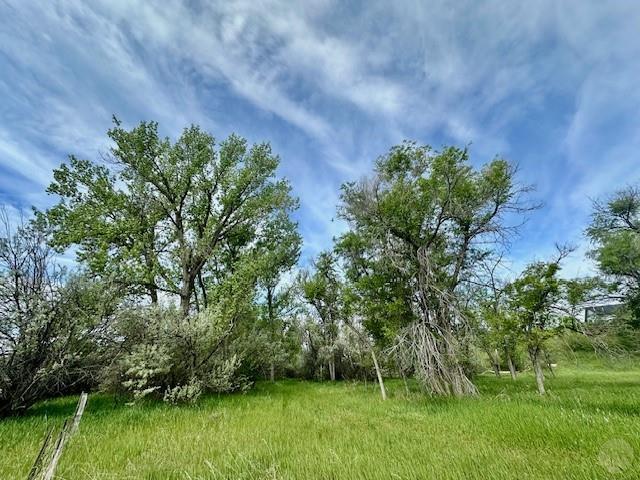 4929 Neibauer Road Property Photo 6