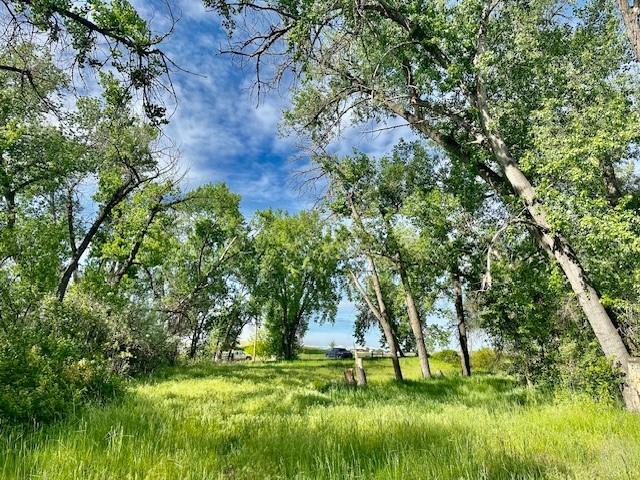 4929 Neibauer Road Property Photo 7