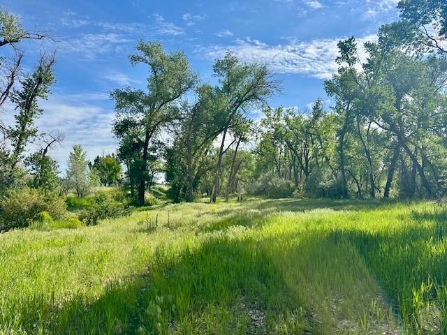 4929 Neibauer Road Property Photo 10