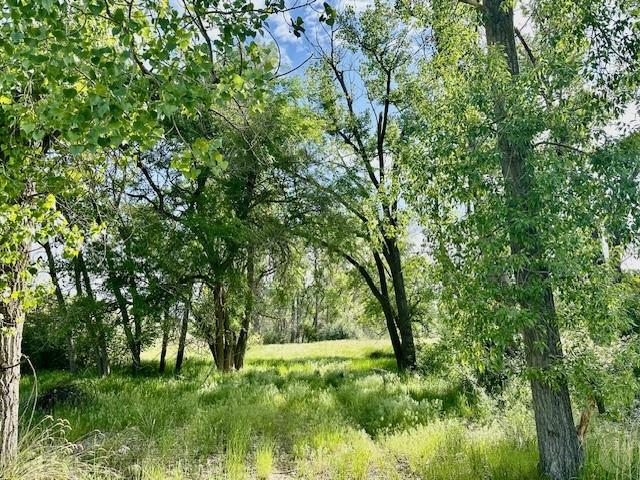 4929 Neibauer Road Property Photo 11