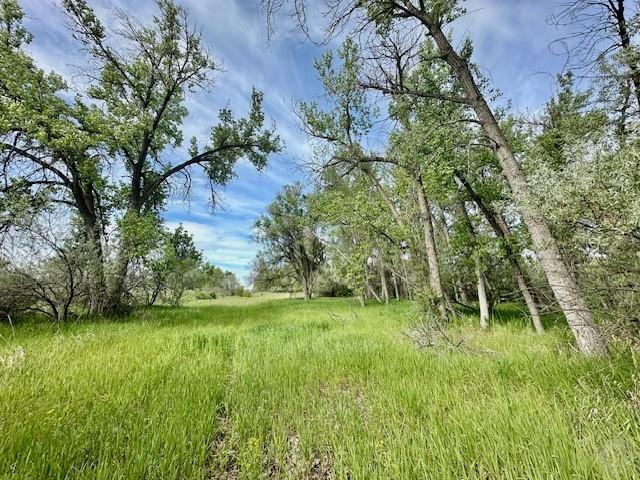 4929 Neibauer Road Property Photo 14