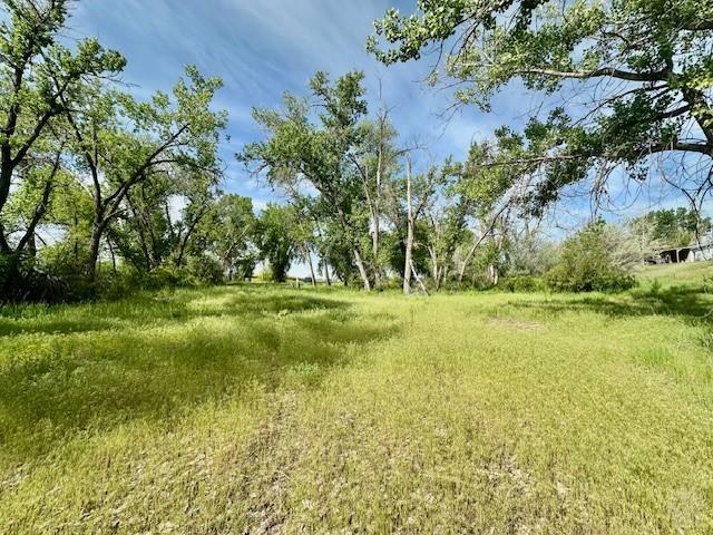 4929 Neibauer Road Property Photo 15