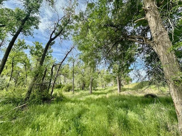 4929 Neibauer Road Property Photo 16