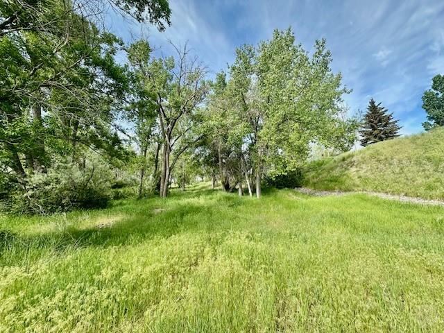 4929 Neibauer Road Property Photo 17