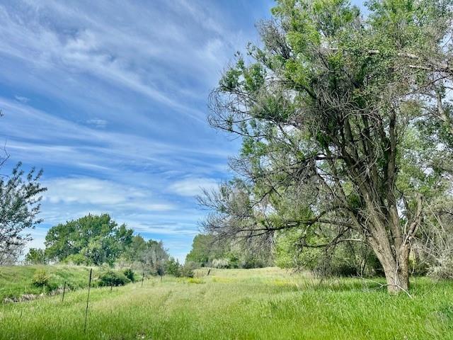 4929 Neibauer Road Property Photo 20