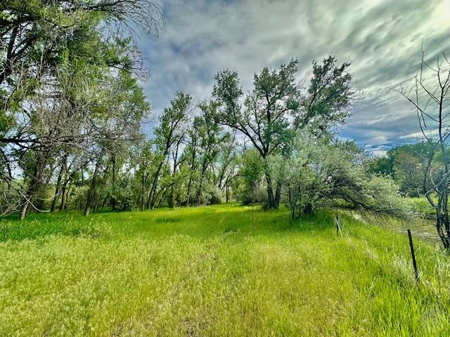 4929 Neibauer Road Property Photo 22