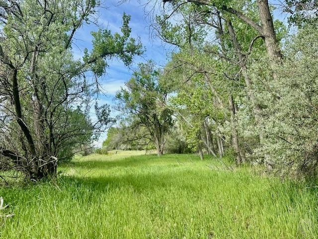 4929 Neibauer Road Property Photo 23