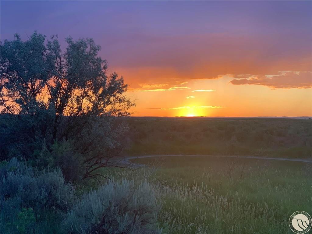 9774 Bison Road Property Photo 30