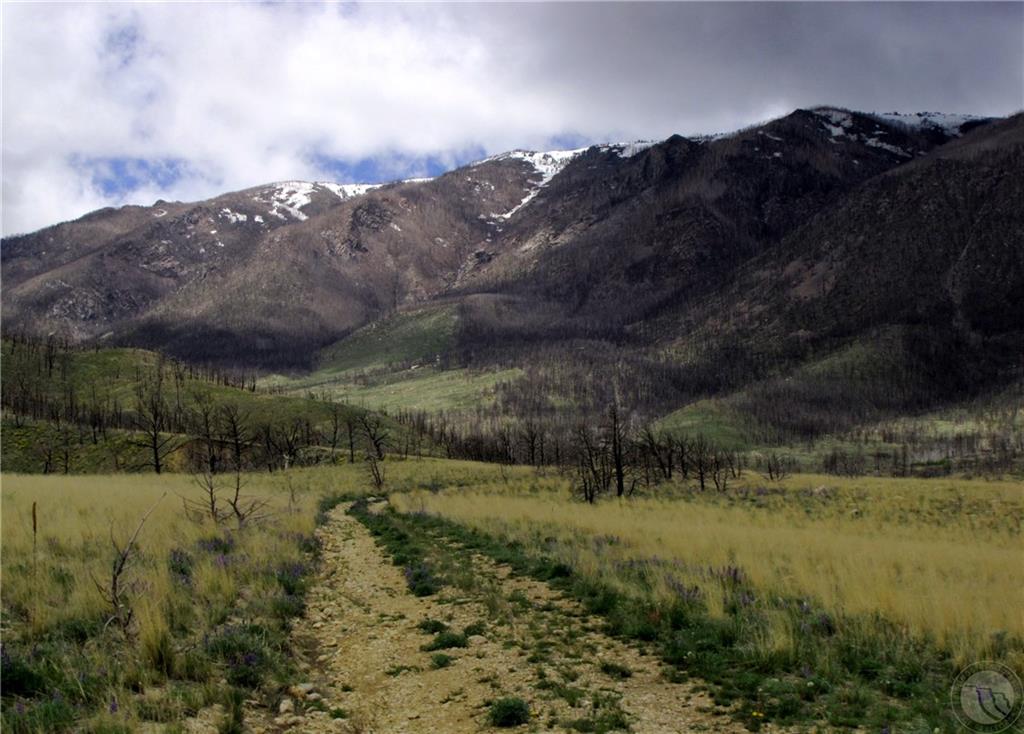 Tbd Gold Creek Way Property Photo 1