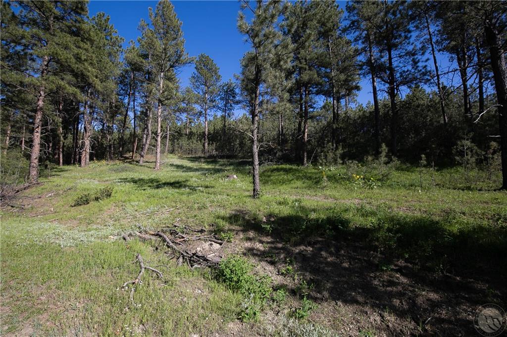 Tbd W Parrot Creek Road, Parcel 20 Property Photo 2