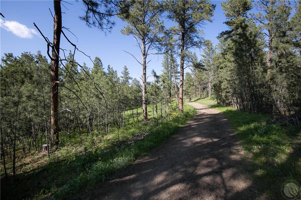 Tbd W Parrot Creek Road, Parcel 20 Property Photo 3