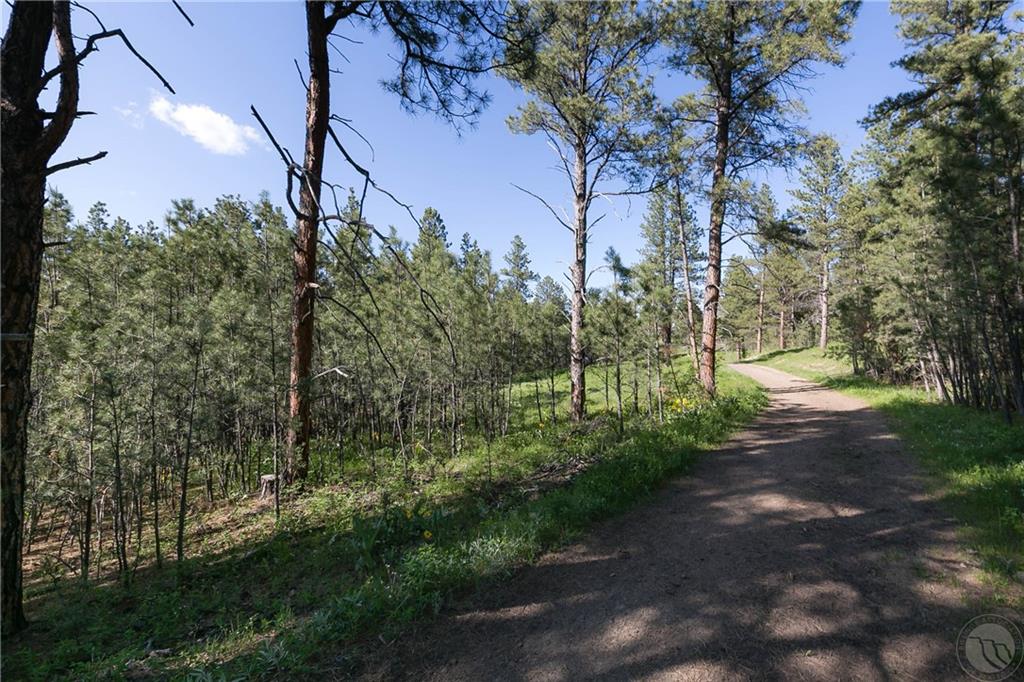 Tbd W Parrot Creek Road, Parcel 20 Property Photo 4