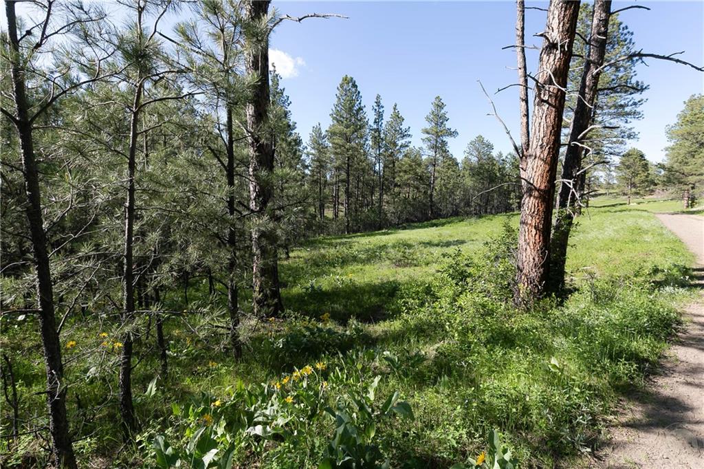 Tbd W Parrot Creek Road, Parcel 20 Property Photo 5