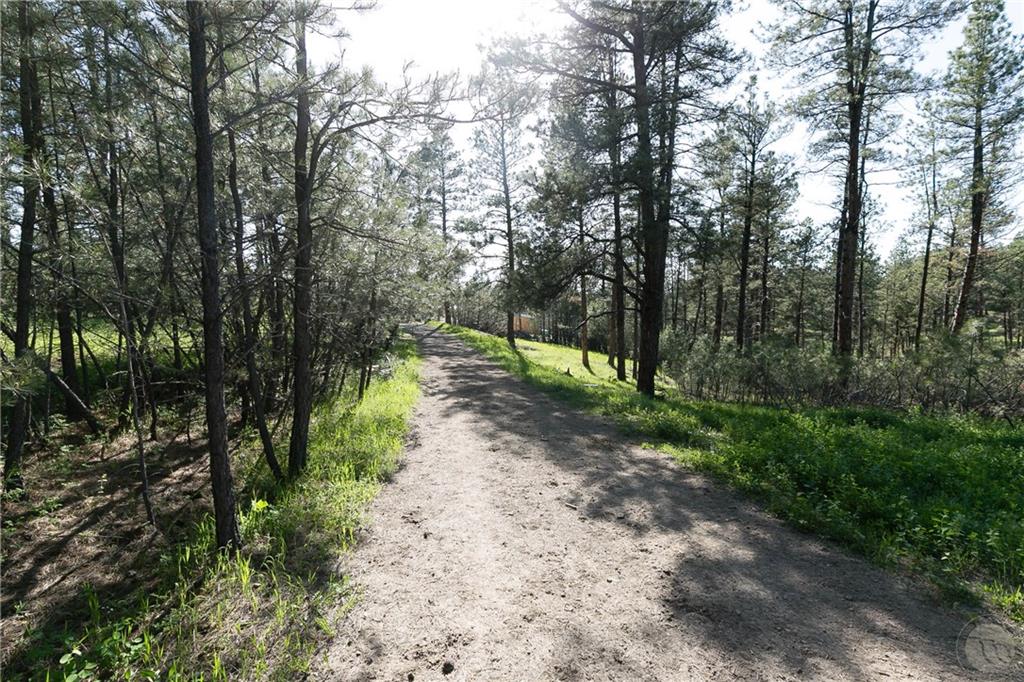 Tbd W Parrot Creek Road, Parcel 20 Property Photo 7