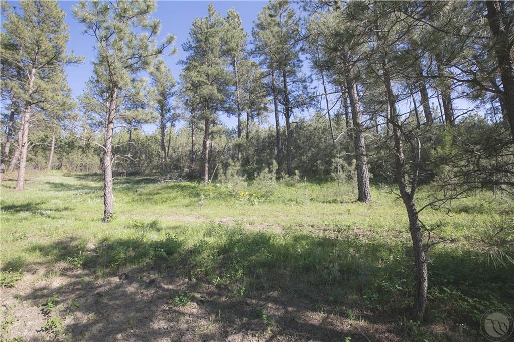 Tbd W Parrot Creek Road, Parcel 20 Property Photo 8