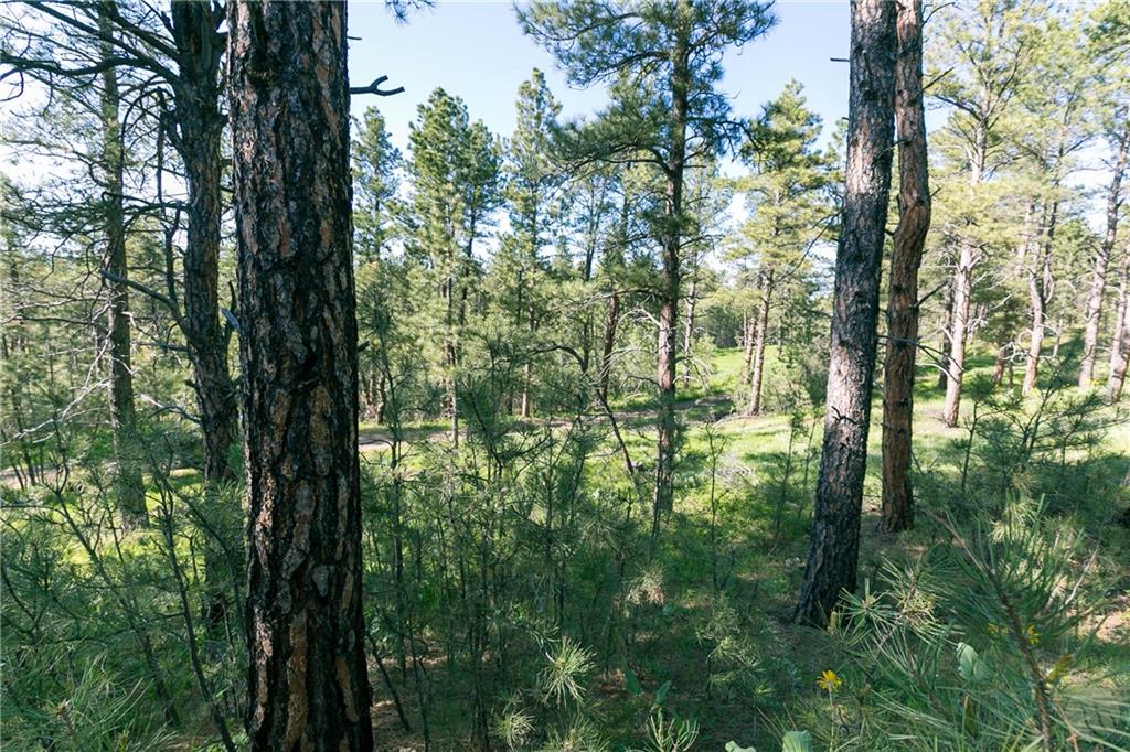 Tbd W Parrot Creek Road, Parcel 20 Property Photo 10