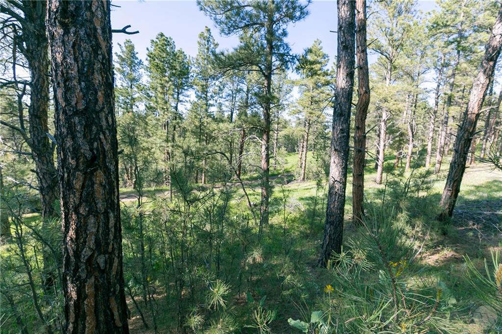 Tbd W Parrot Creek Road, Parcel 20 Property Photo 11