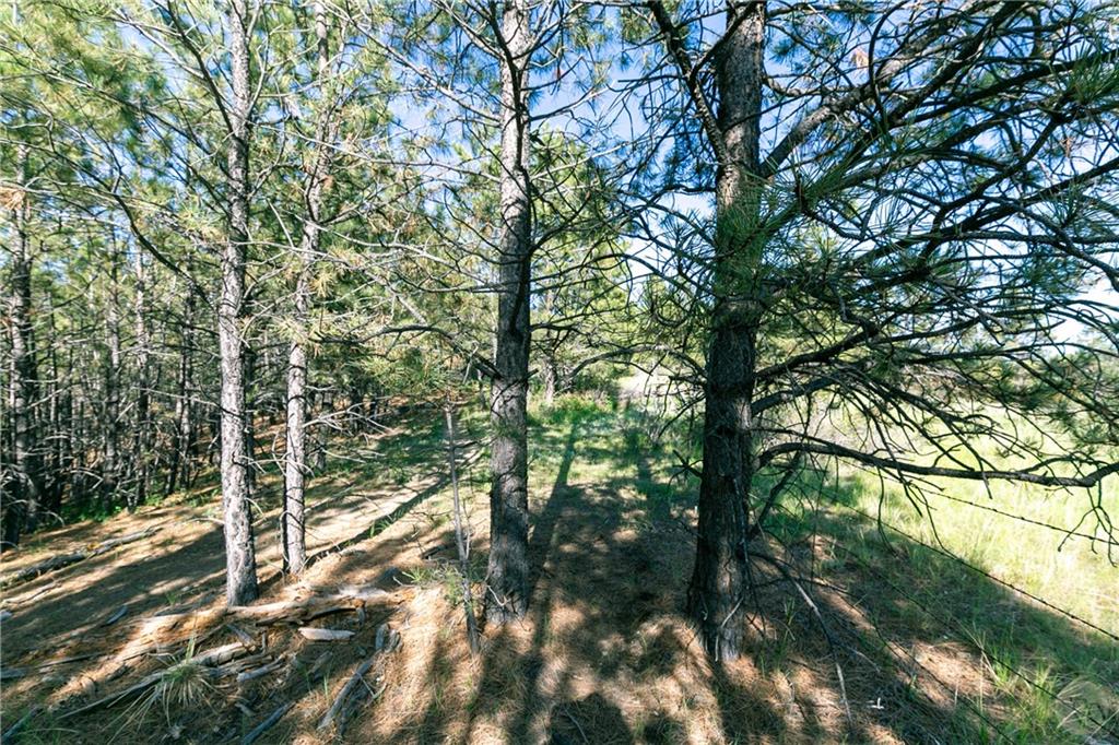 Tbd W Parrot Creek Road, Parcel 20 Property Photo 13