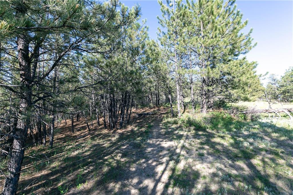 Tbd W Parrot Creek Road, Parcel 20 Property Photo 14