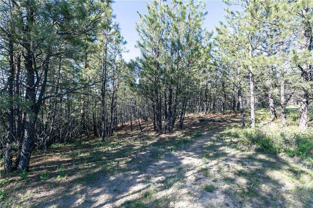 Tbd W Parrot Creek Road, Parcel 20 Property Photo 15