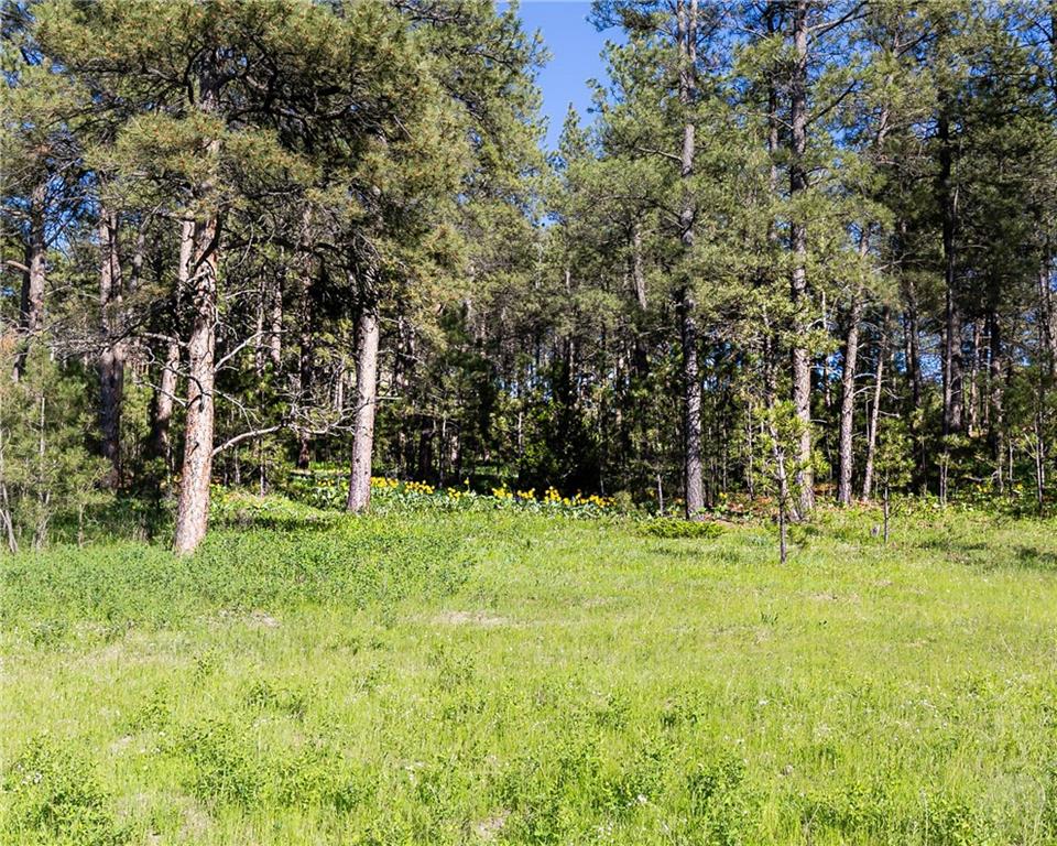 Tbd W Parrot Creek Road, Parcel 20 Property Photo 16
