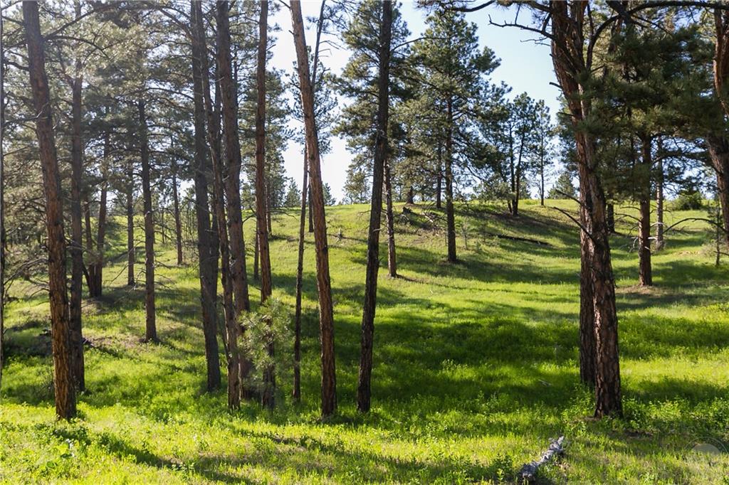 Tbd W Parrot Creek Road, Parcel 20 Property Photo 17