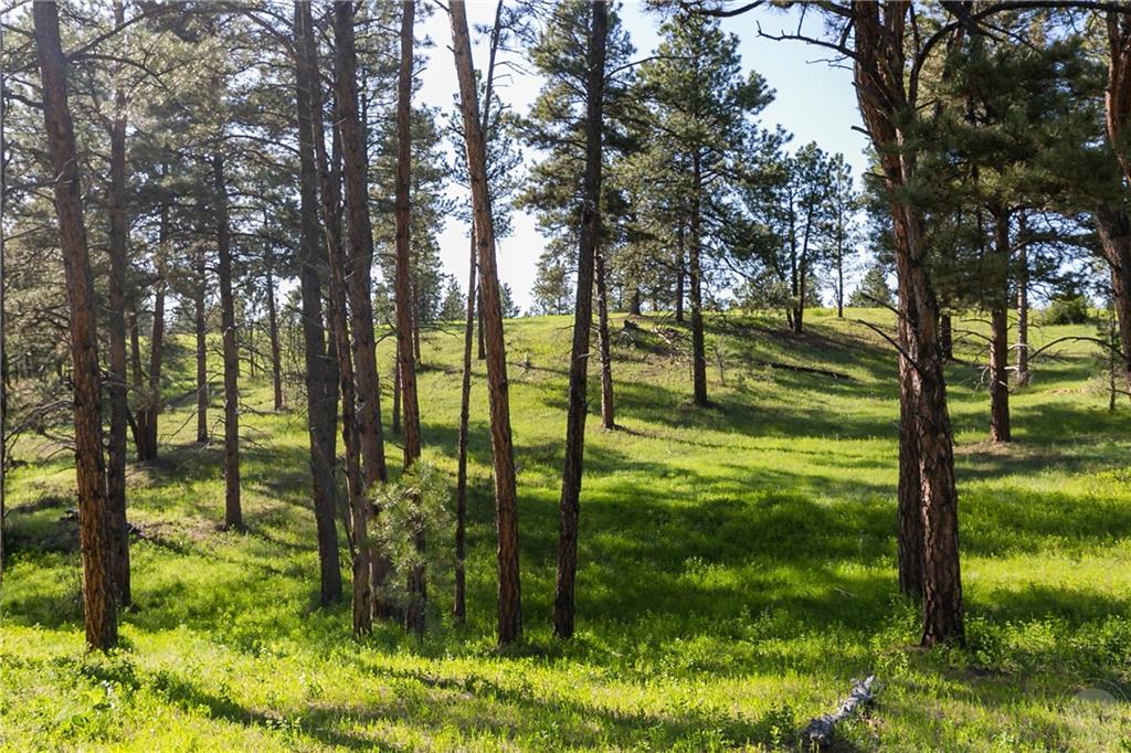 Tbd W Parrot Creek Road, Parcel 20 Property Photo 18