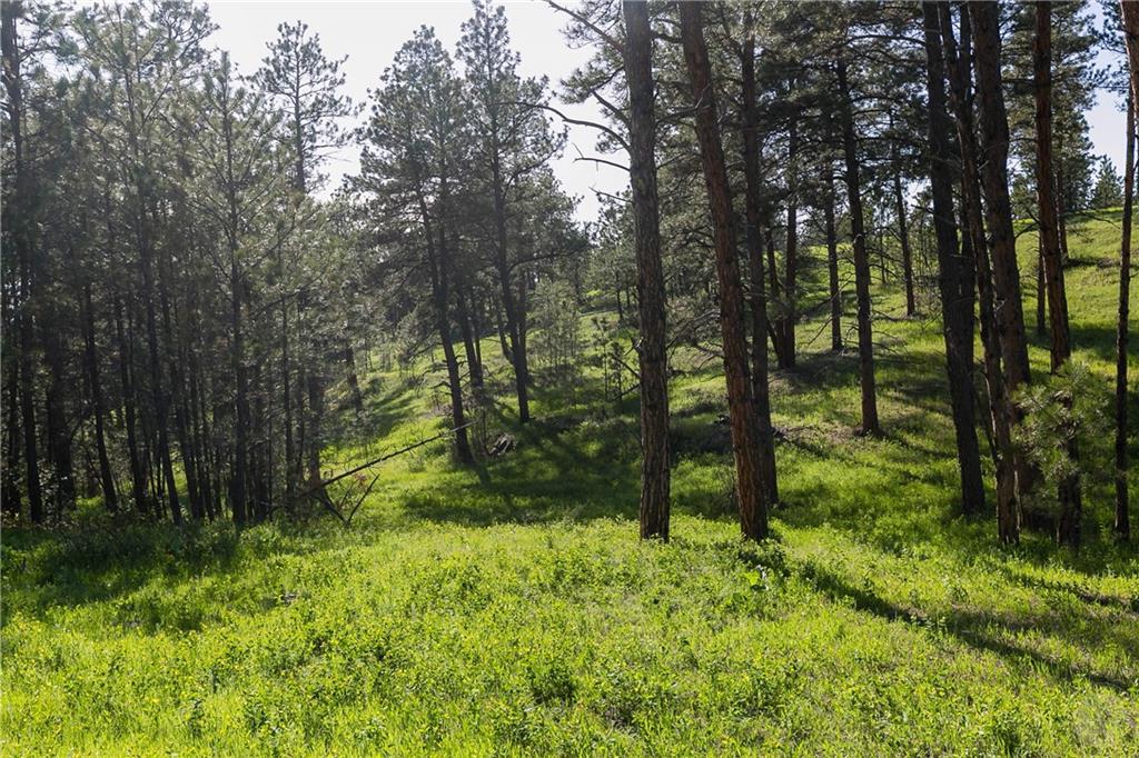 Tbd W Parrot Creek Road, Parcel 20 Property Photo 19