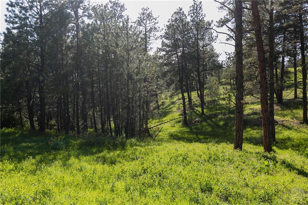 Tbd W Parrot Creek Road, Parcel 20 Property Photo 20