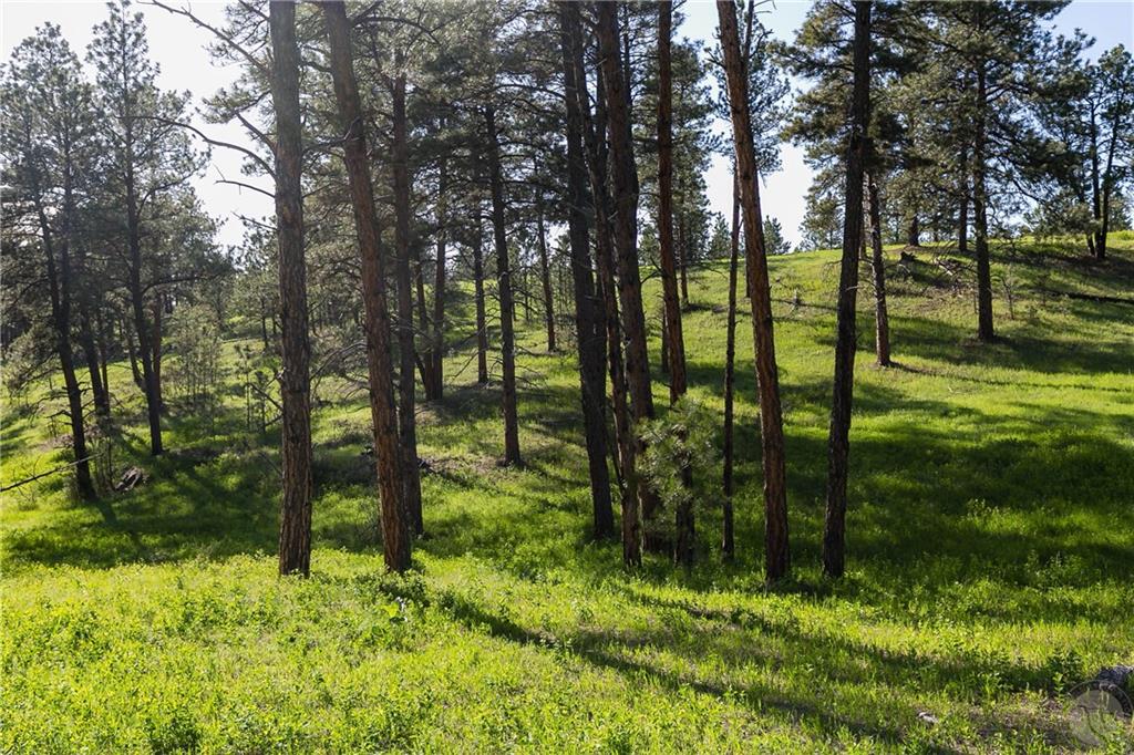 Tbd W Parrot Creek Road, Parcel 20 Property Photo 21