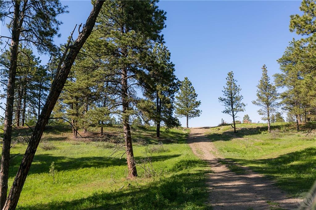 Tbd W Parrot Creek Road, Parcel 20 Property Photo 22