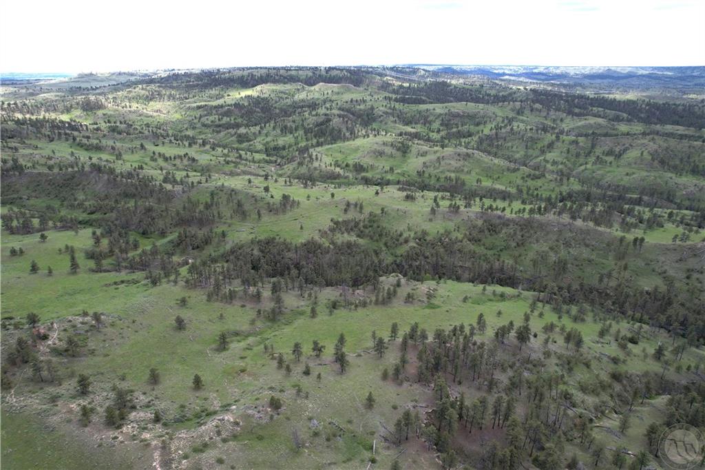 Tbd County Rd 147a Property Photo 1