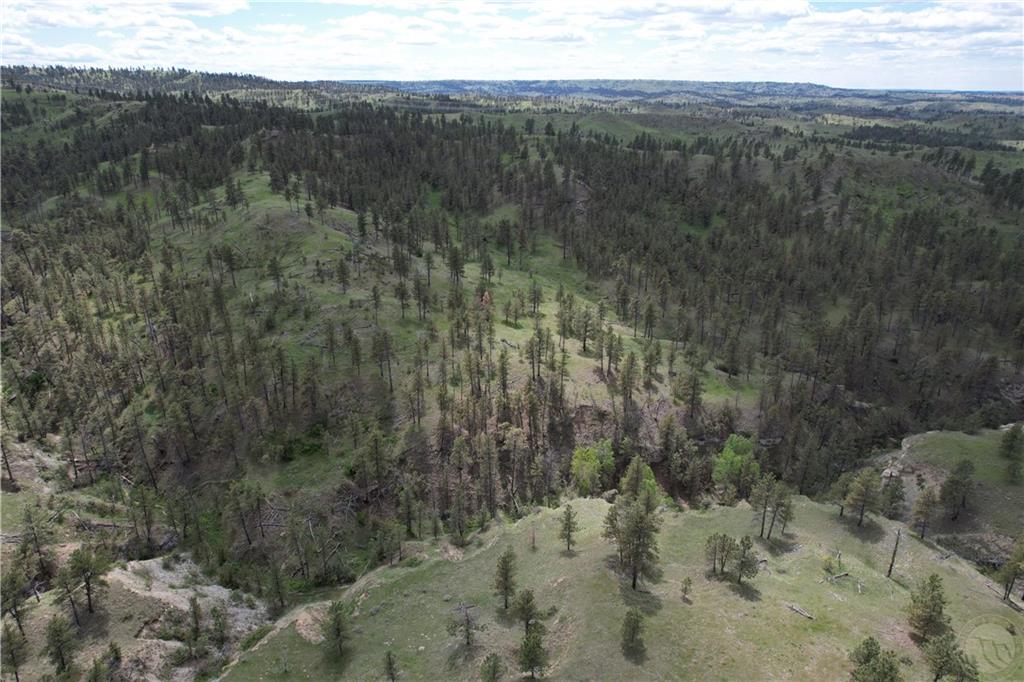 Tbd County Rd 147a Property Photo 6
