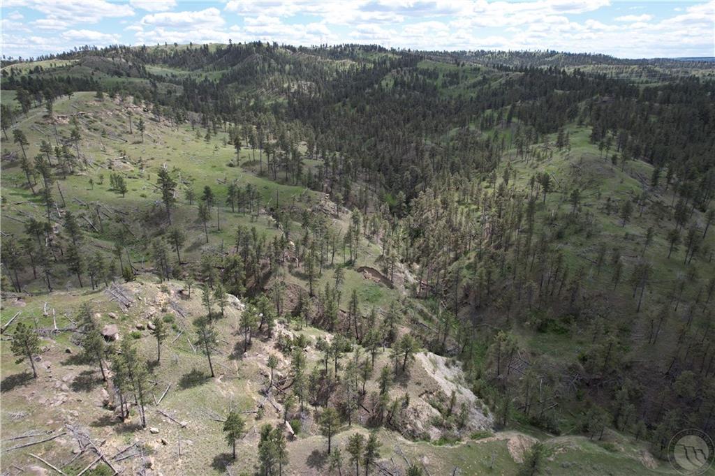 Tbd County Rd 147a Property Photo 8