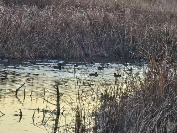 Tbd County Rd 147a Property Photo 17