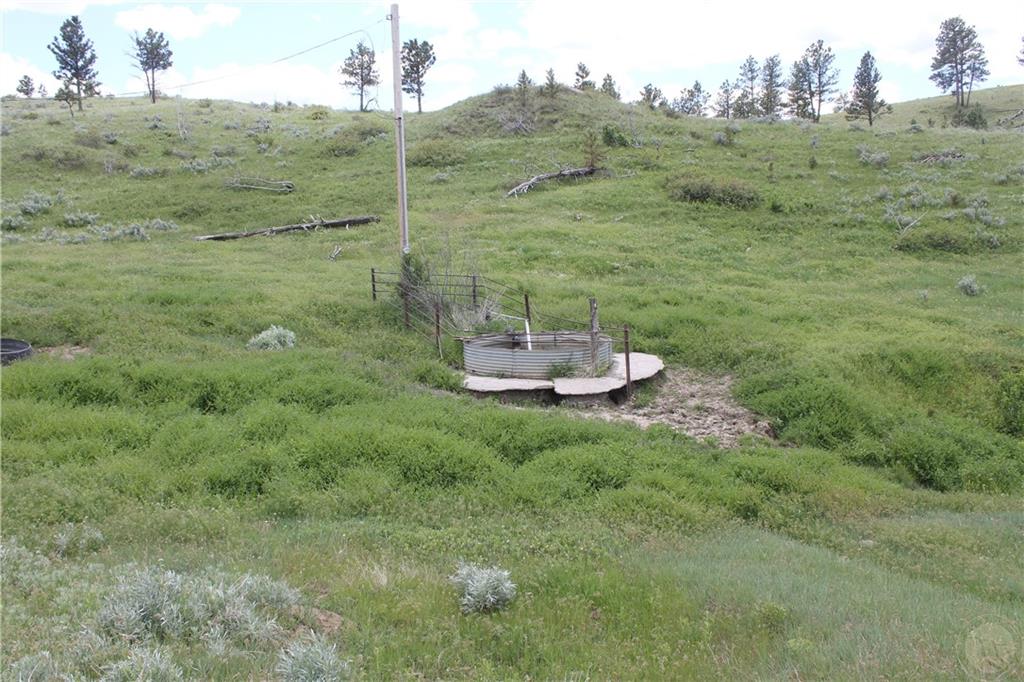 Tbd County Rd 147a Property Photo 22